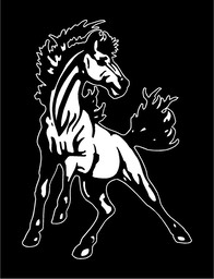 actionmustang