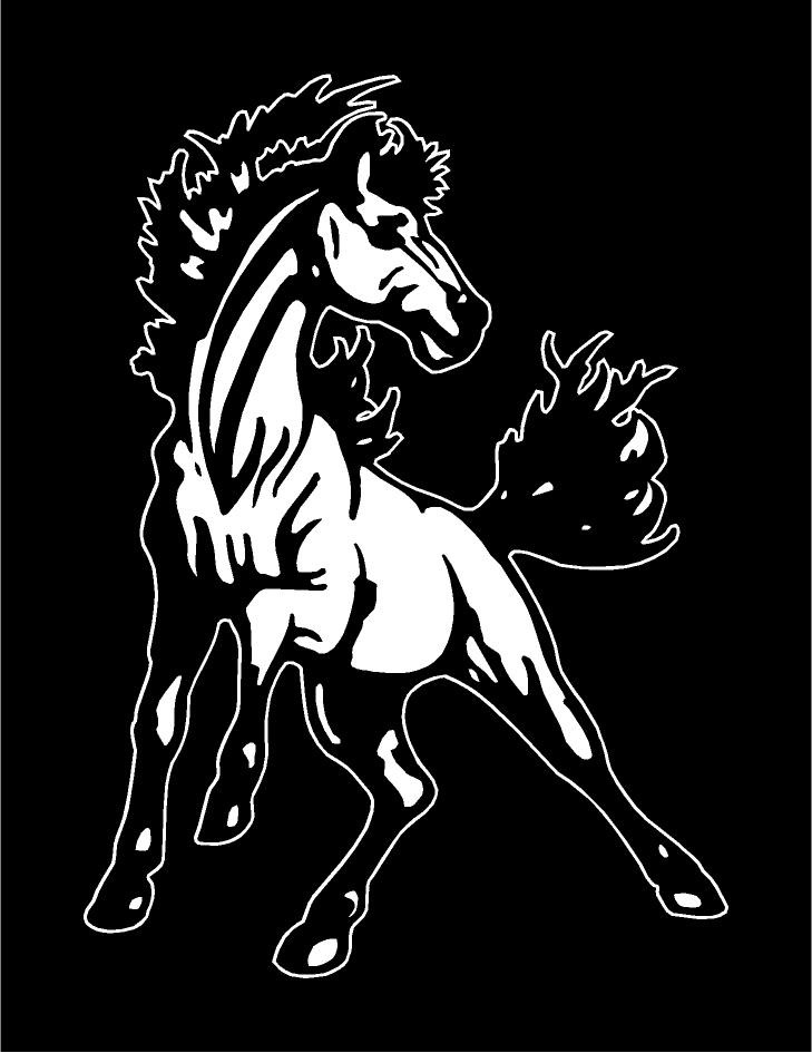 actionmustang
