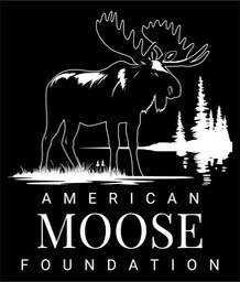 American-Moose