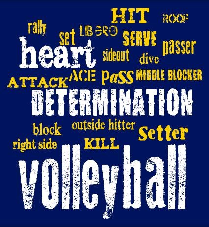 centvolley01