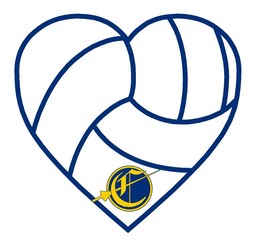 cjhheartvolleyball