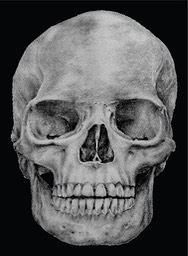 Dennis-Skull-Final