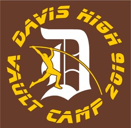 dhspolevaultcamp2016#1