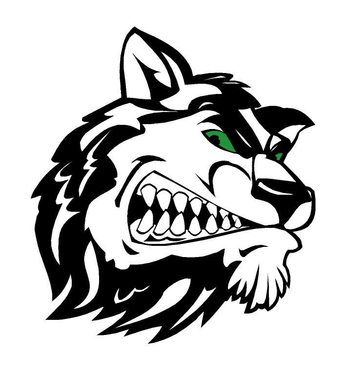fjhmeanhusky