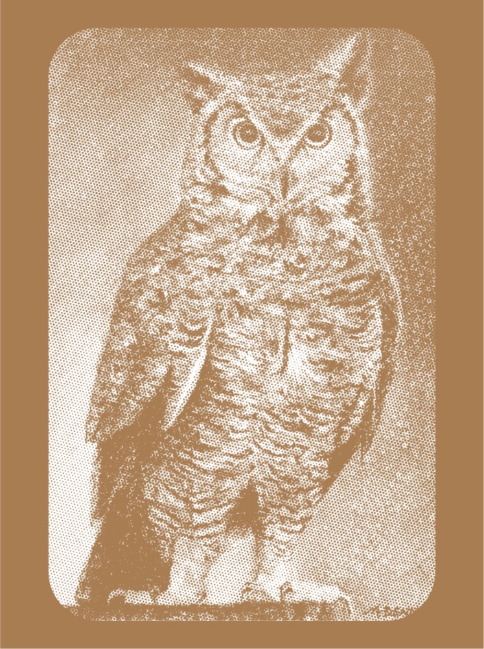 owl-no-outline