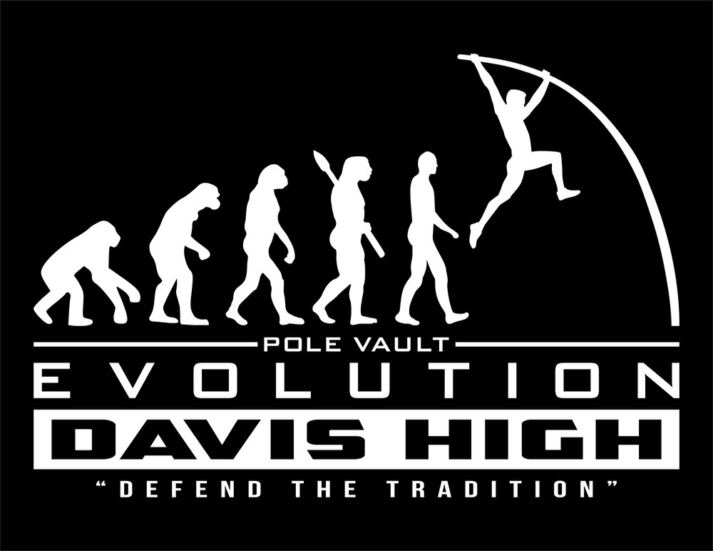 polevaultevolution