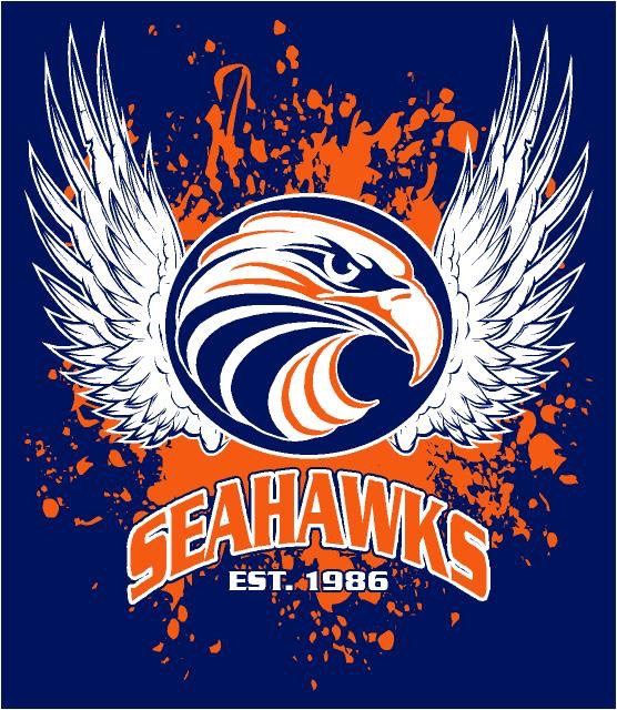 seahawksplatter