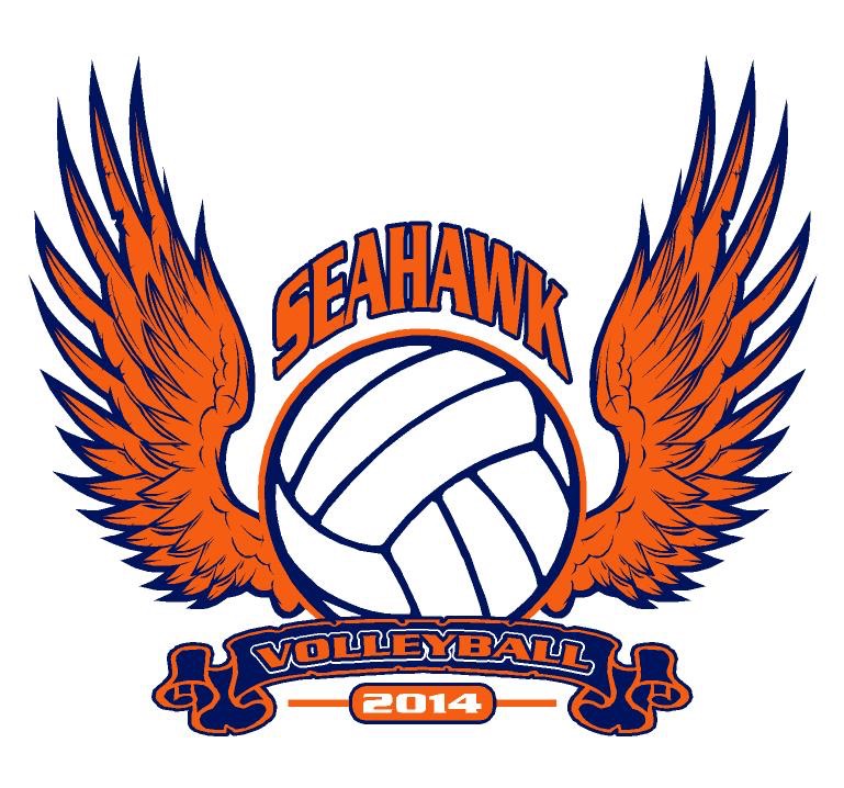 volley01