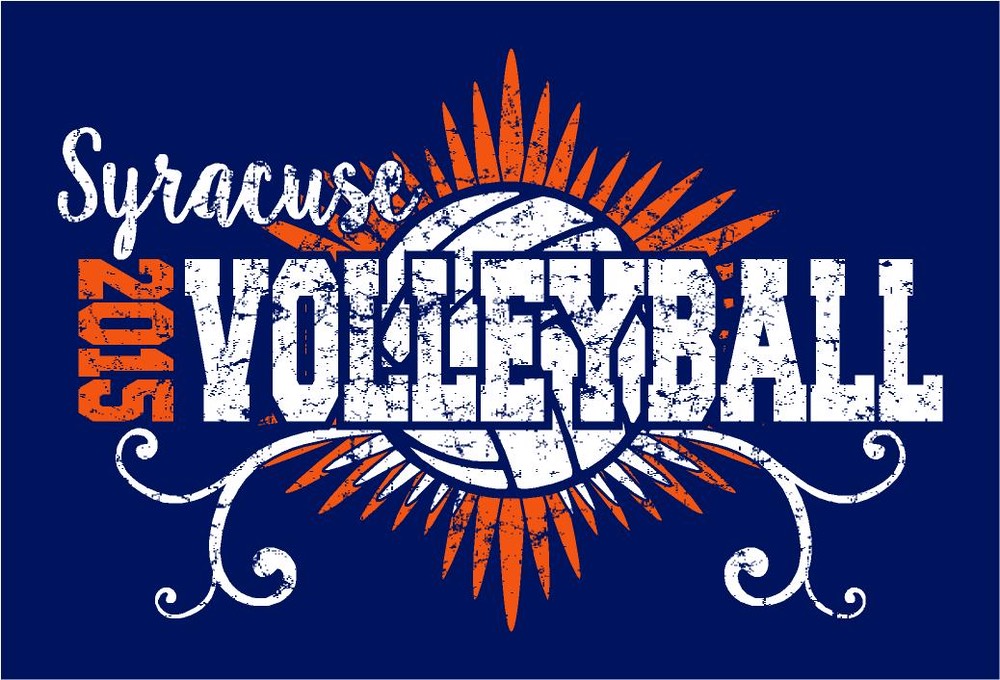volley2015