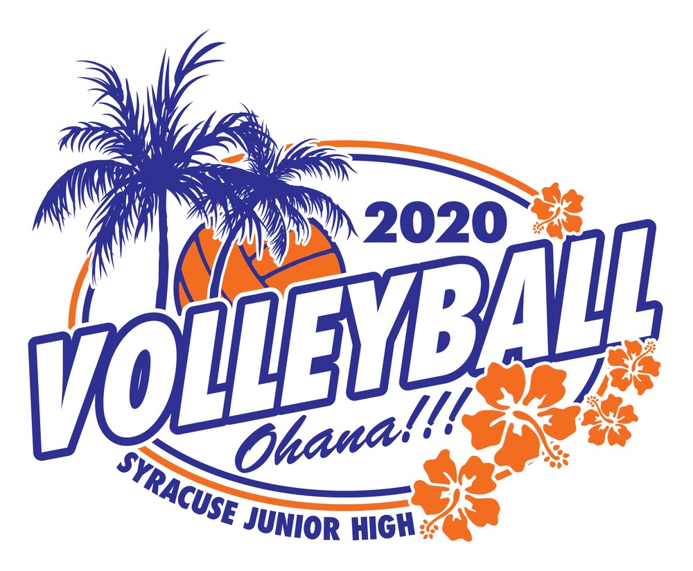 volleyball ohana 2