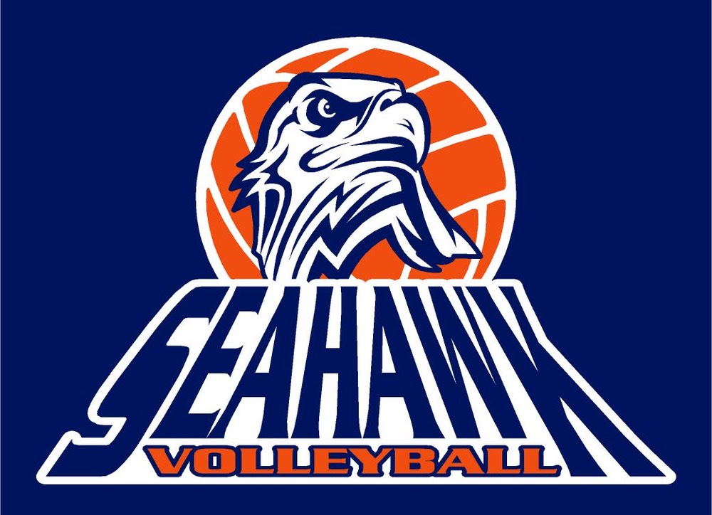 volleyball2015