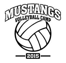 volleyballcamp